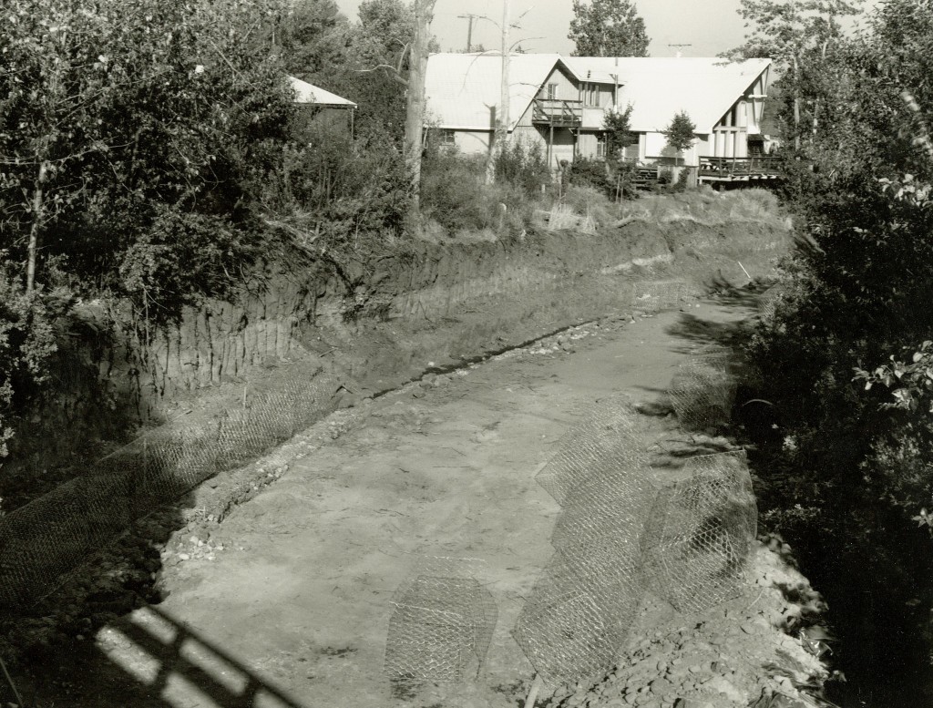 Susan River from the Carroll Street Bridge, 1981. Courtesy of Jim Cooper