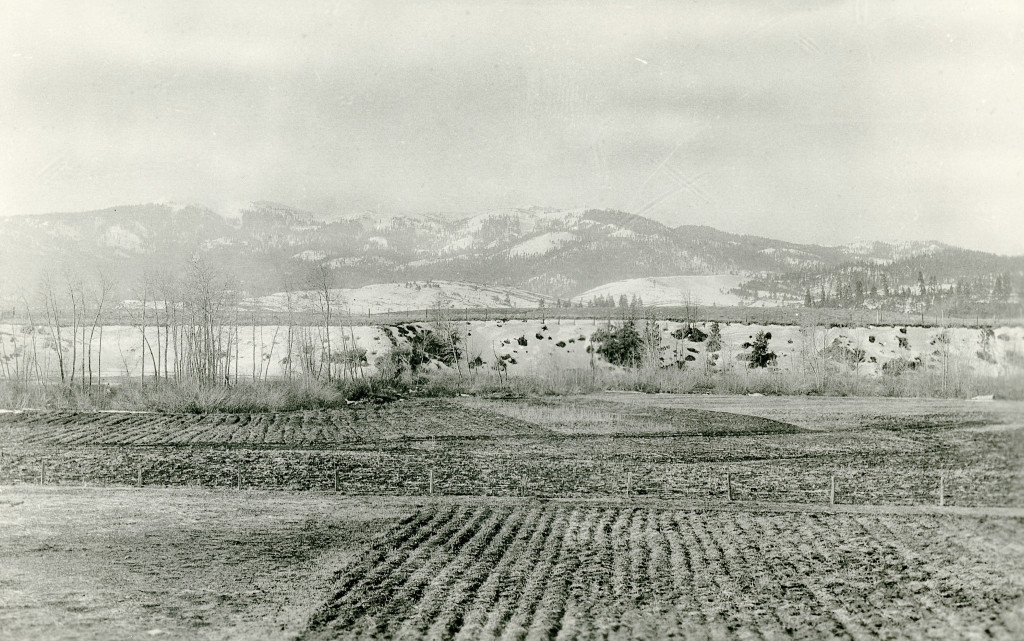 This plot of land today is Lassen High's Arnold Field. In 1916, when this photograph was taken it was part of Lassen High's Agricultural Department. Originally, this was part of Browntown