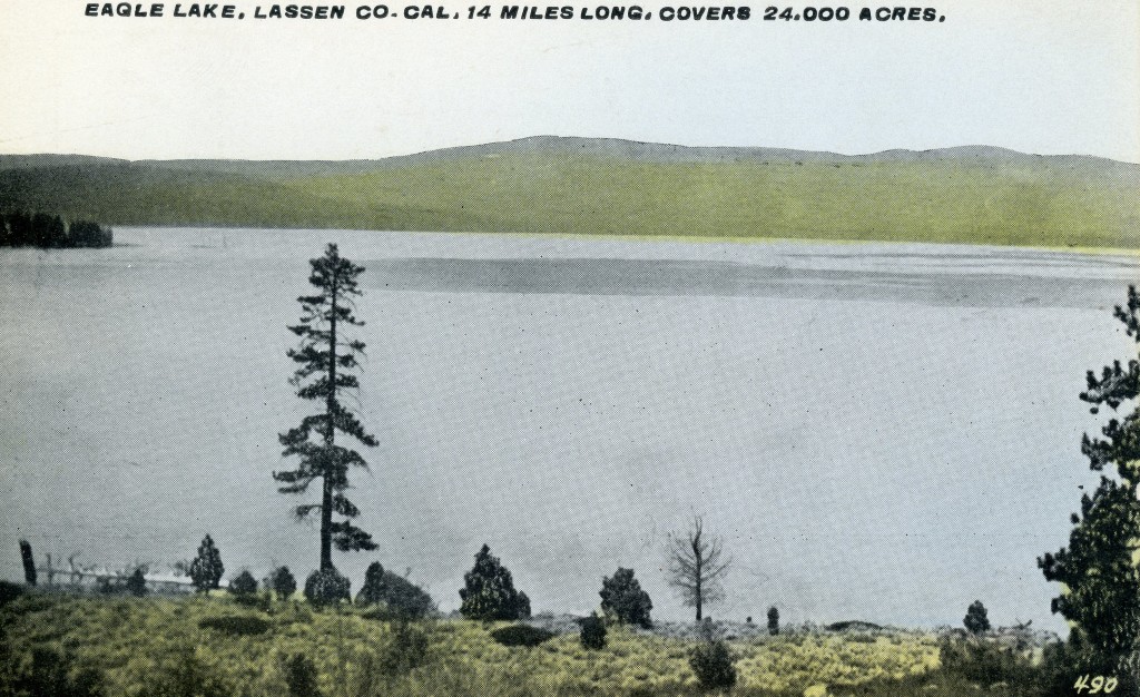 Notice how the water in this 1917 postcard is in the trees at the current marina site.