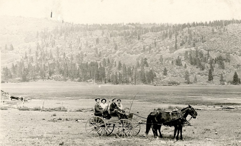 Papoose Meadows, 1914.