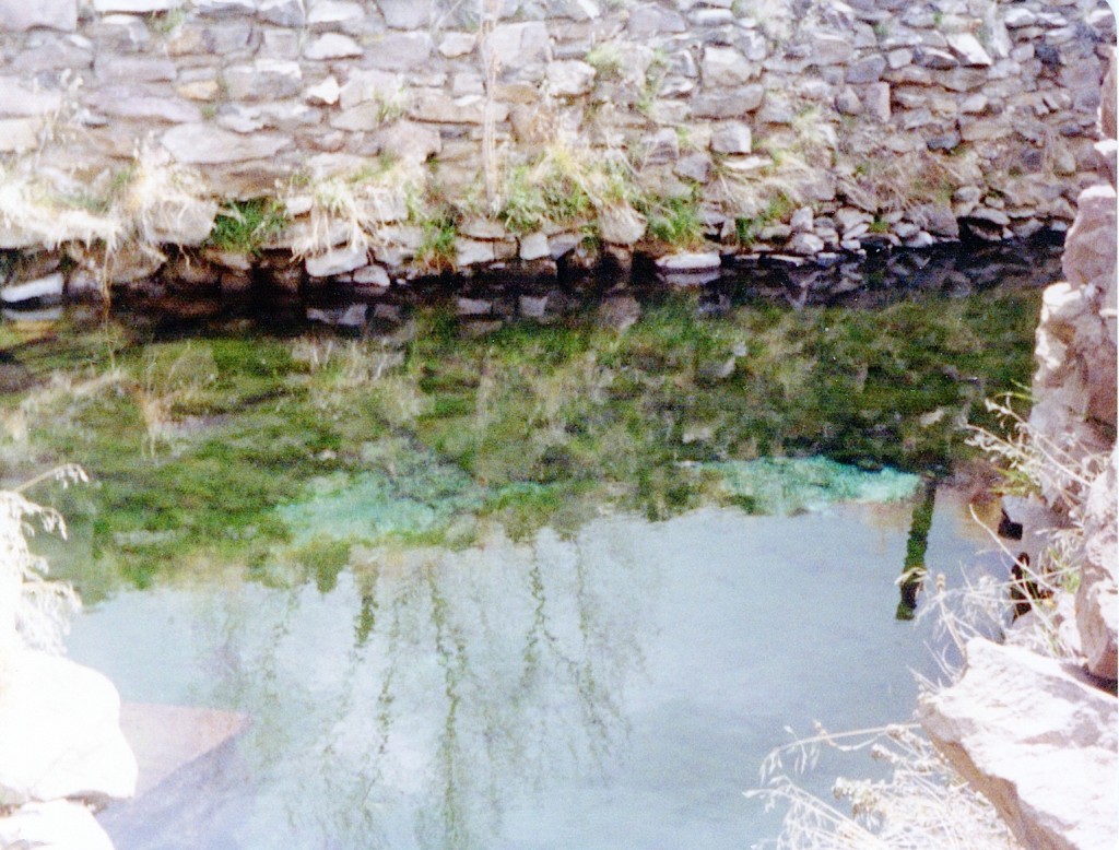 A portion of the tunnel outlet of High Rock Springs. April, 1975