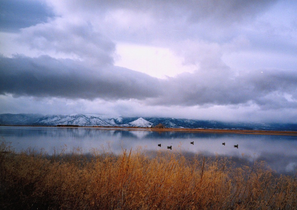 Honey Lake, from Tanner Ranch, 1997.