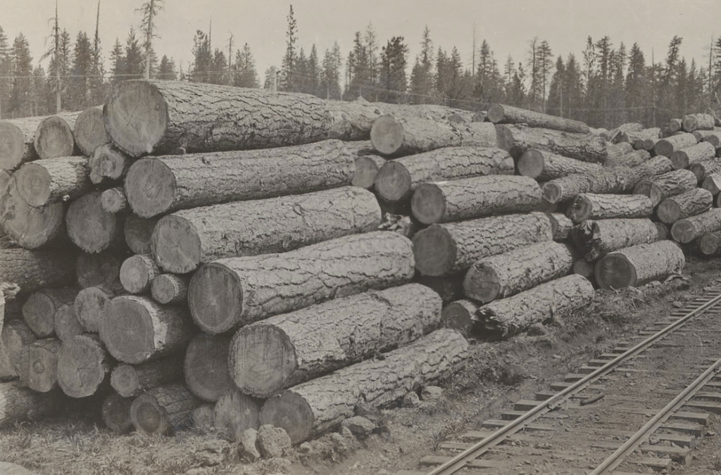 Red River's winter log deck near Camp 16