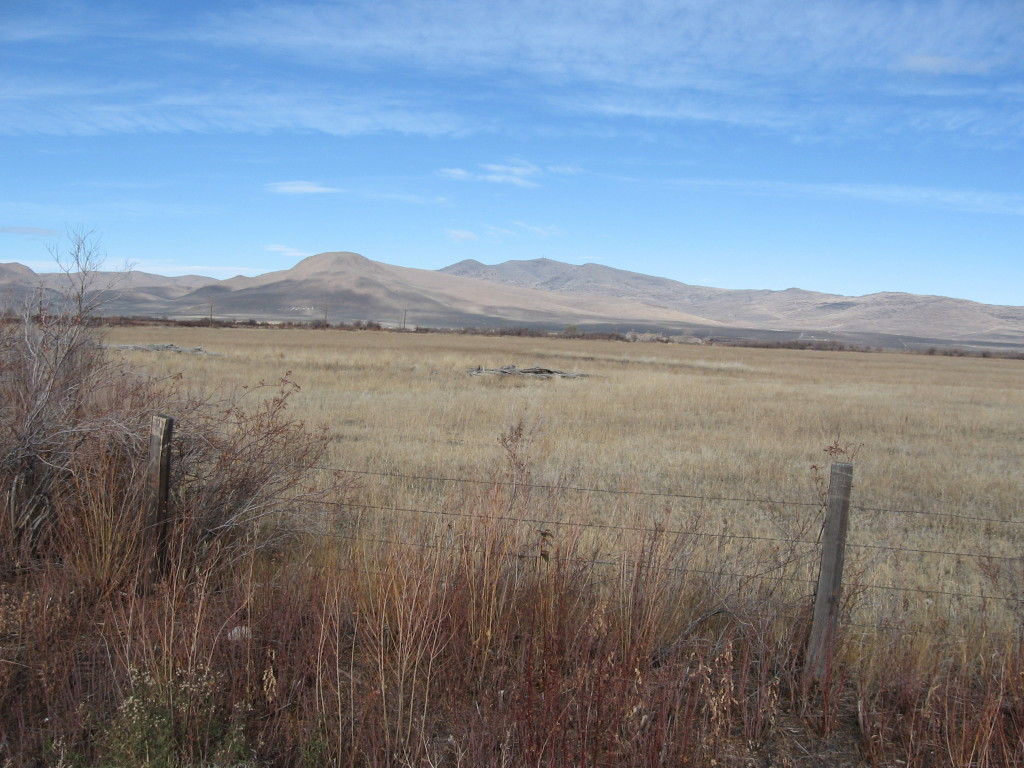 The old Smith homestead, also known as the Brubeck field. November 19, 2015