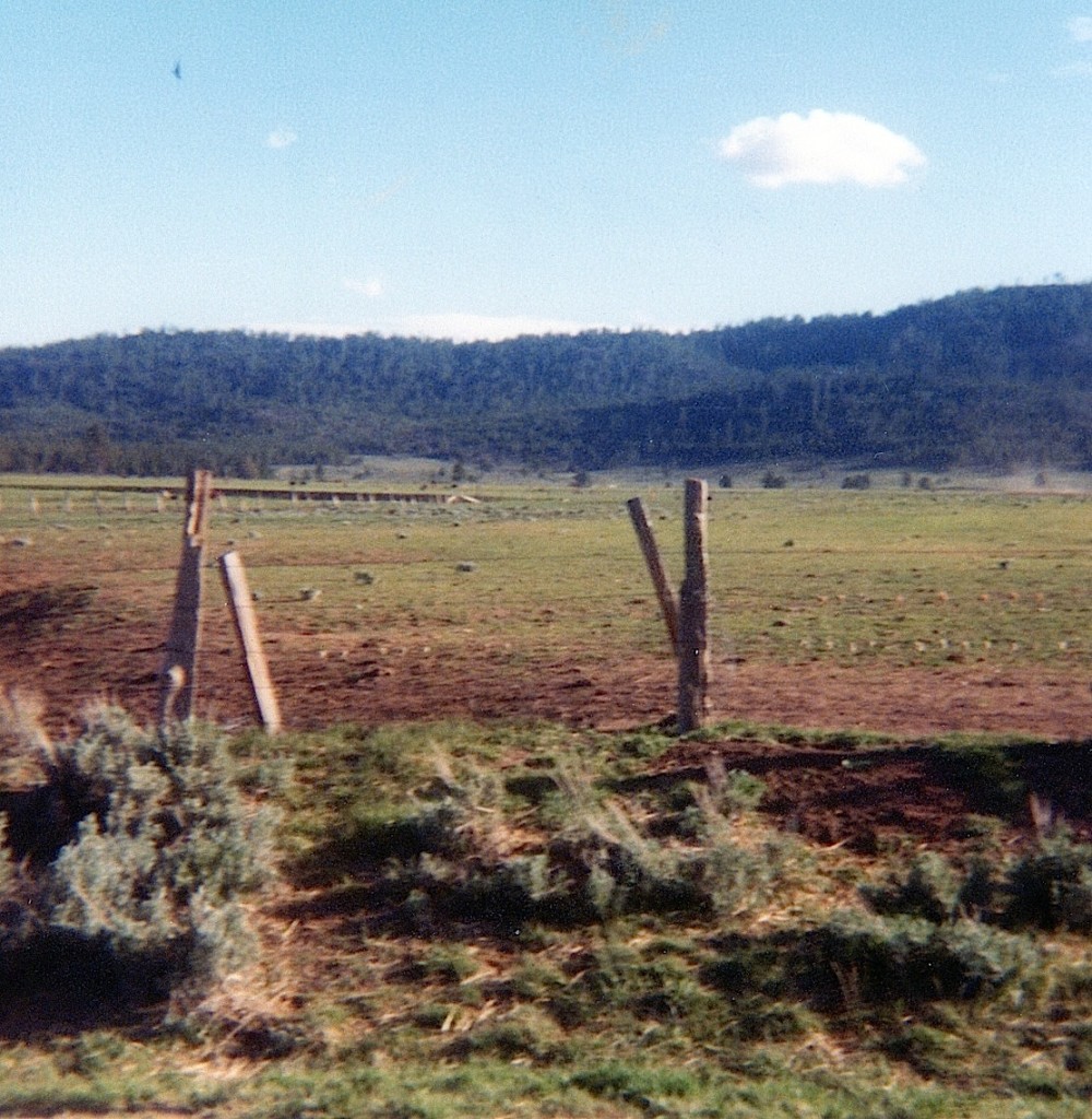 Jacob Murrer's unmarked grave, Willow Creek Valley, May 14, 1978