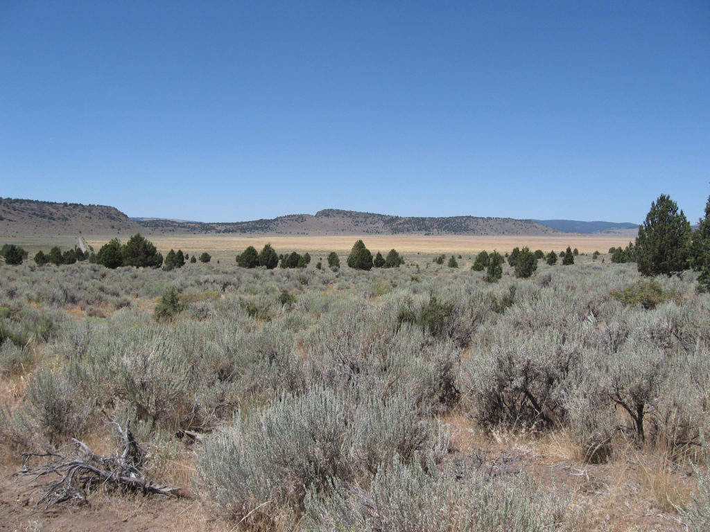 Dry Valley, August 4, 2016.