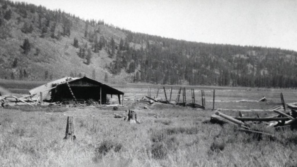 Papoose Meadows, circa 1910. Courtesy of Wyn Wachhorst