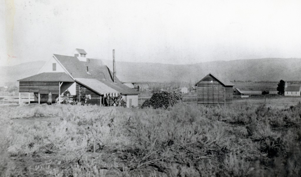 Diamond Mountain Creamery