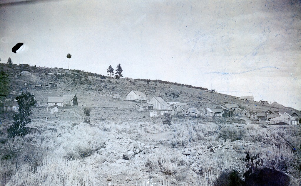 Hayden Hill 1894