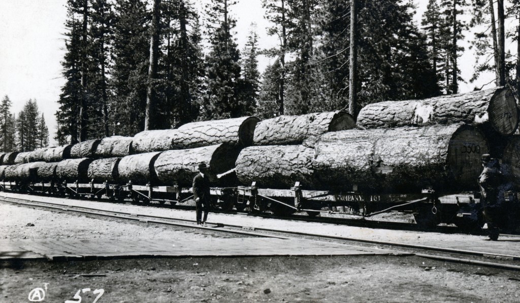 log train Camp B