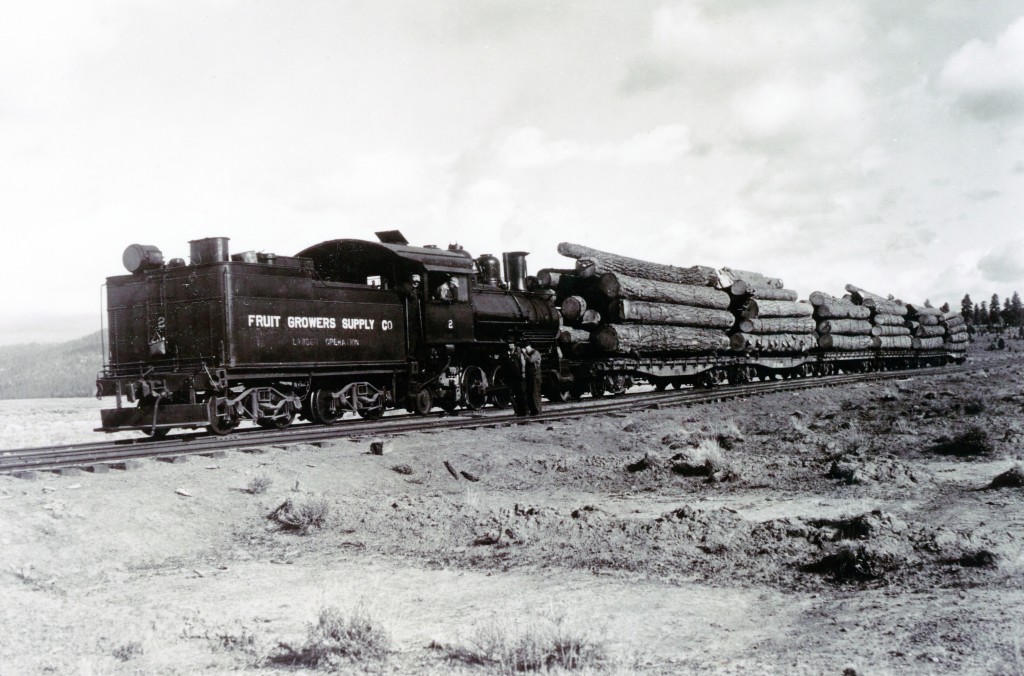 FGS logging train