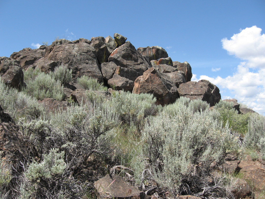 The site looking towards the sunrise chamber, June 2, 2015