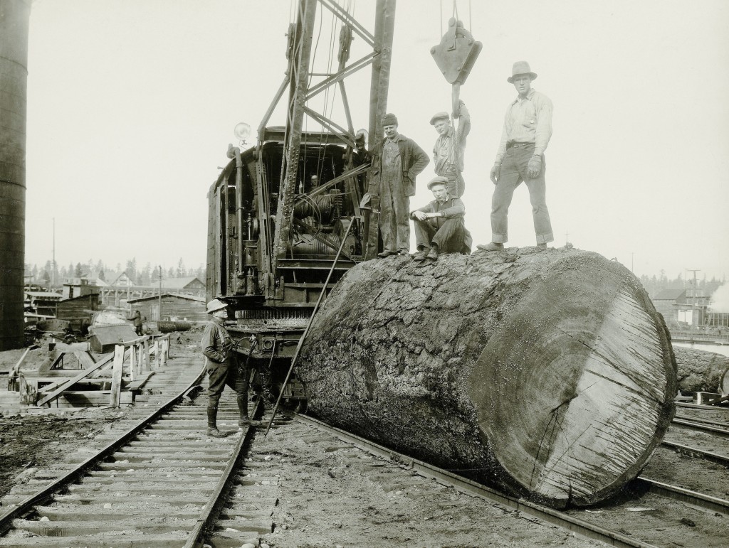 A sinker log pulled from the Westwood log pond. Courtesy of Doug Luff