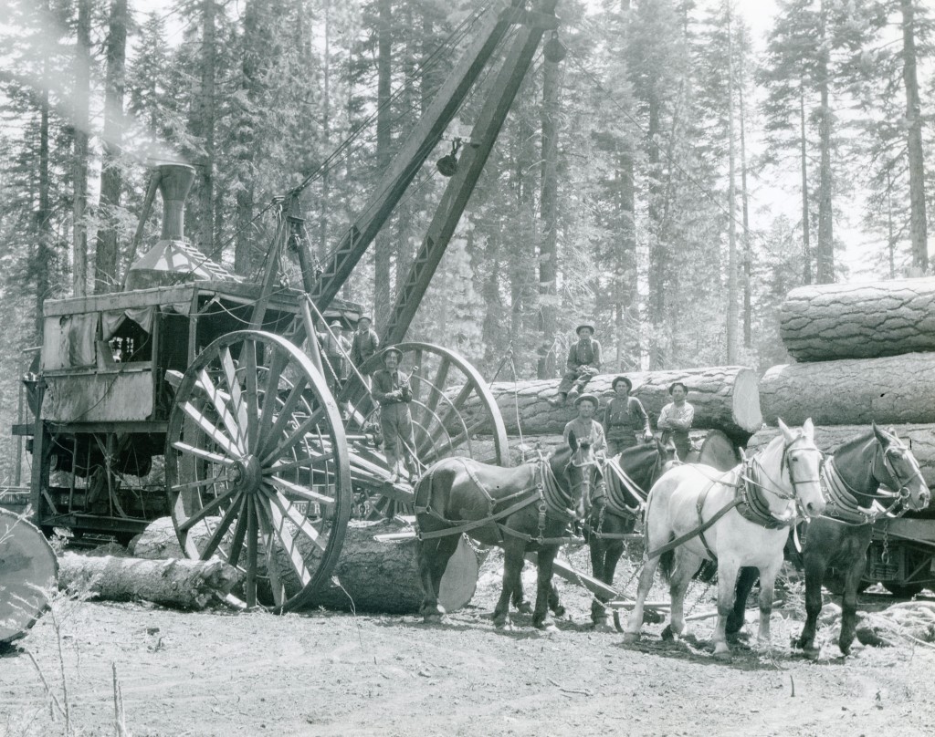 Red River Lumber Company, with Big Wheels and a McGiffert loader in the background. Courtesy of Hank Martinez