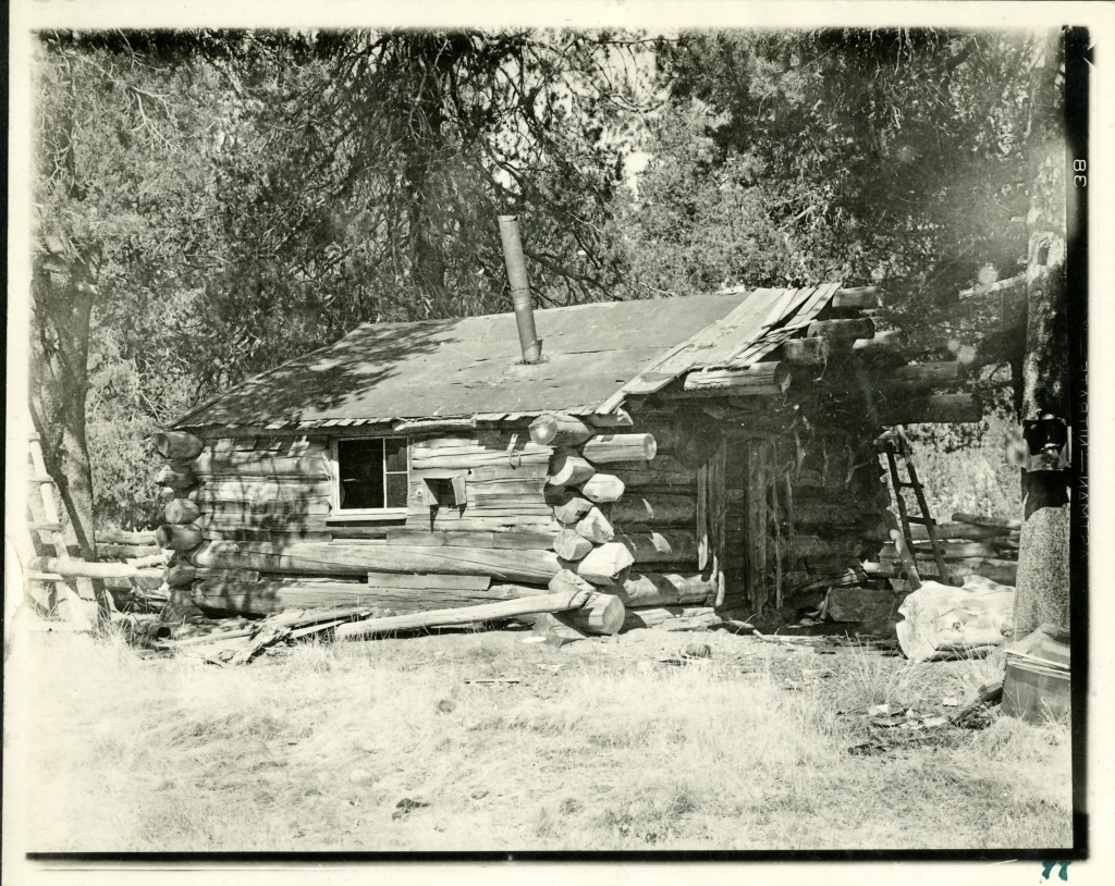 Logan's cabin as it appeared in 19___. Courtesy of National Park Service