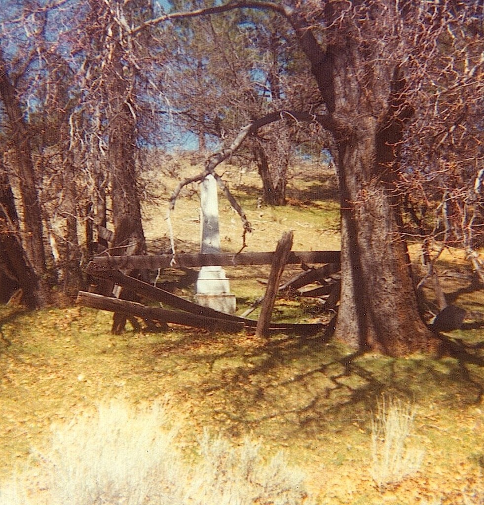 The grave of Rosie Ross, Constantia, May 1975.