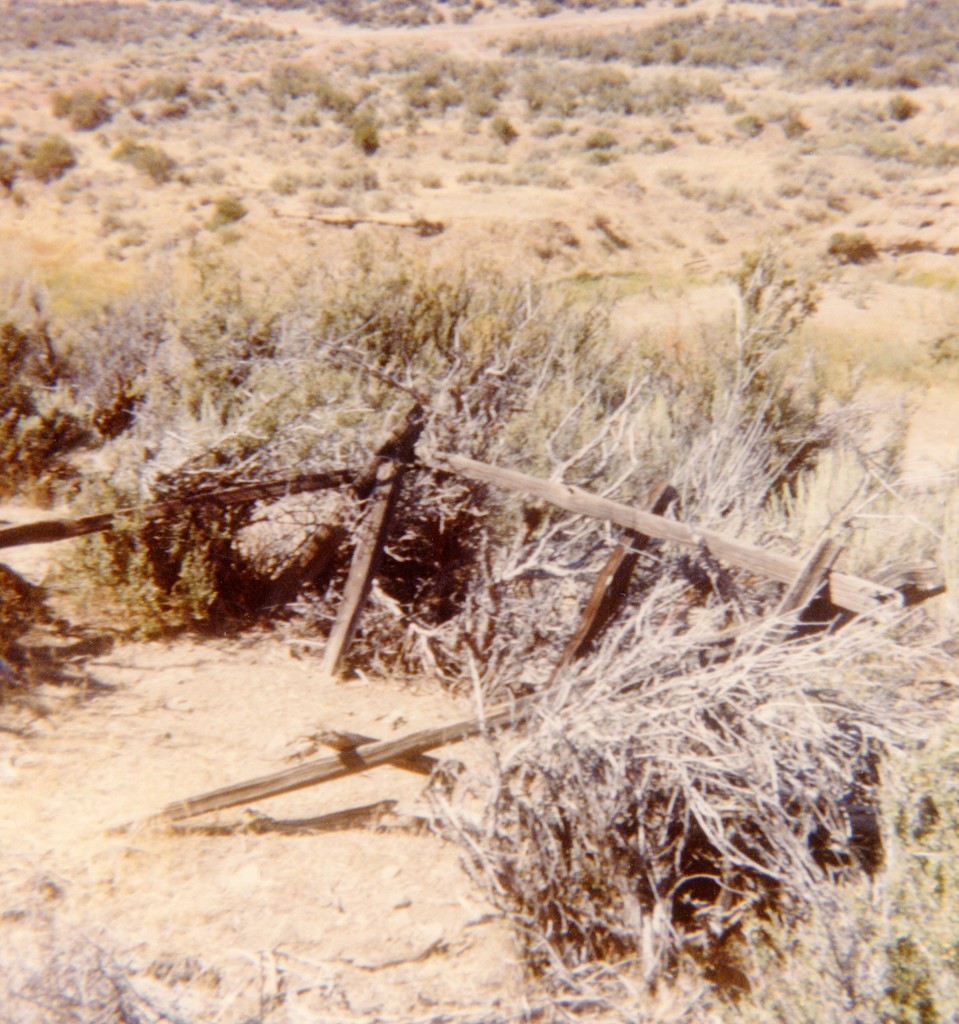 Todd's grave, September 9, 1979