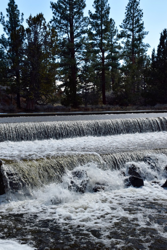 Pine Creek, April 2, 2016. Courtesy of Annie Henriques Blank