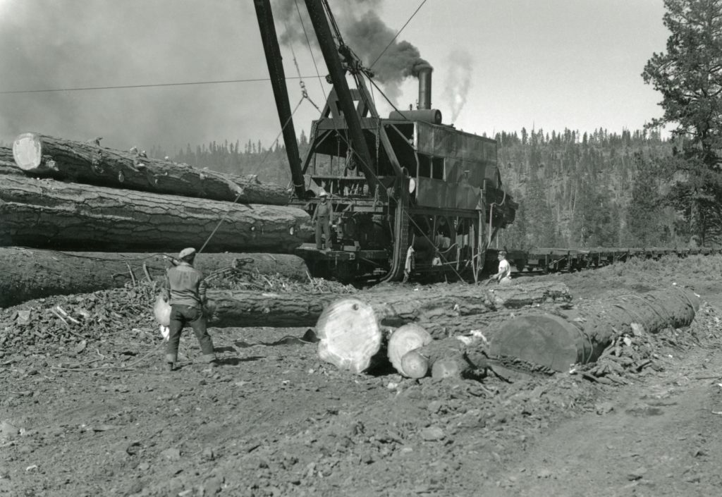 Loading logs with a McGiffert, at McCoy Flat, 1952.