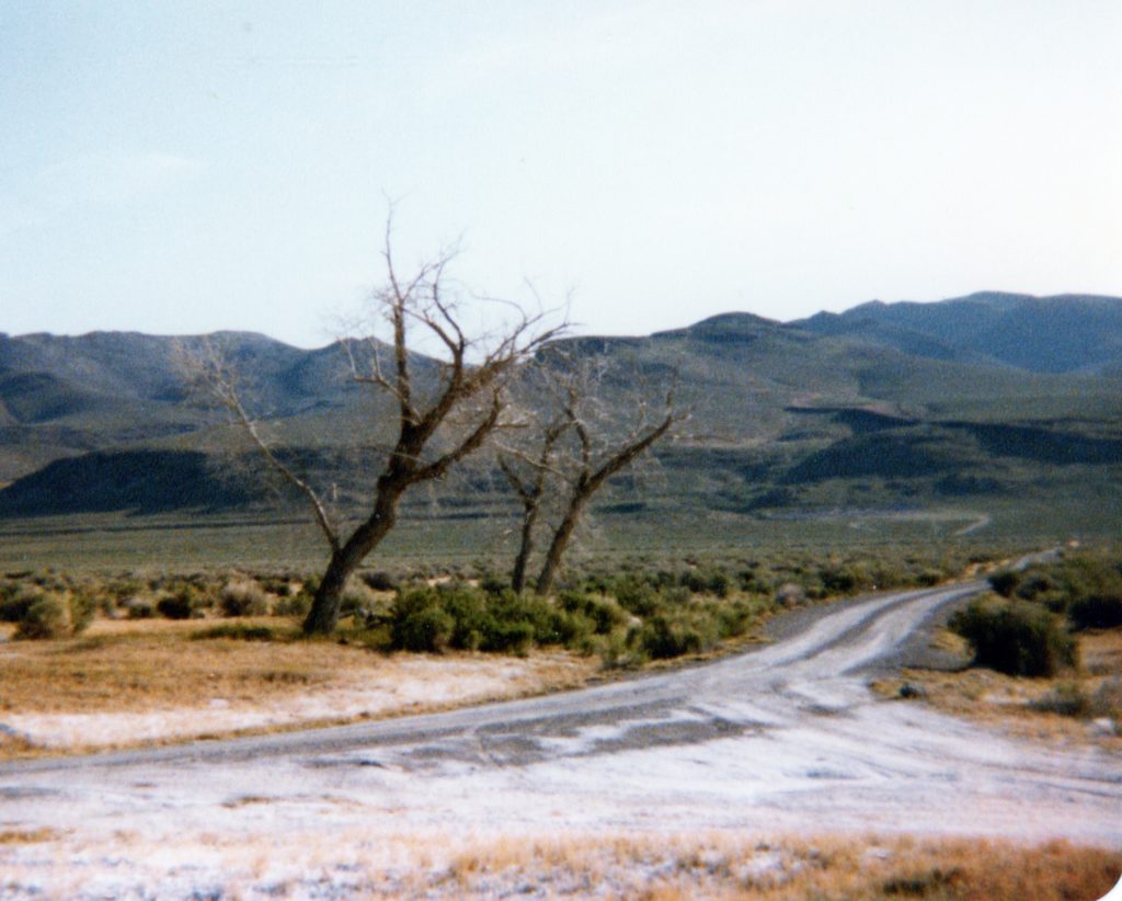 Downtown Amedee, 1982.