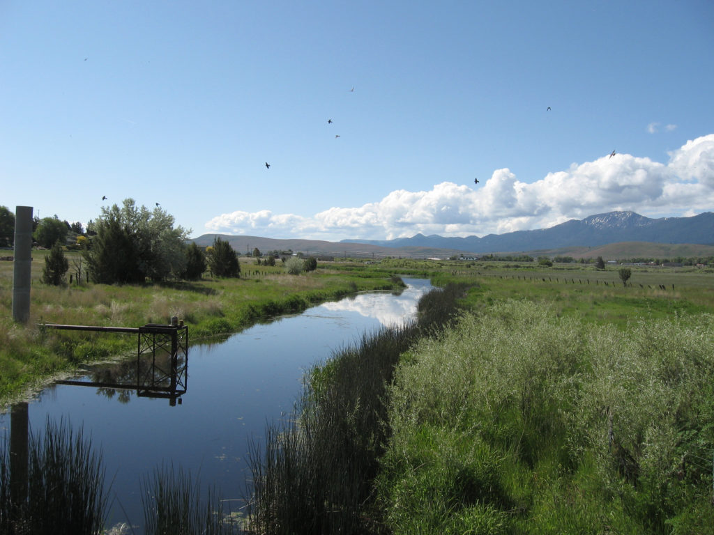 Brockman Slough, May 26, 2016