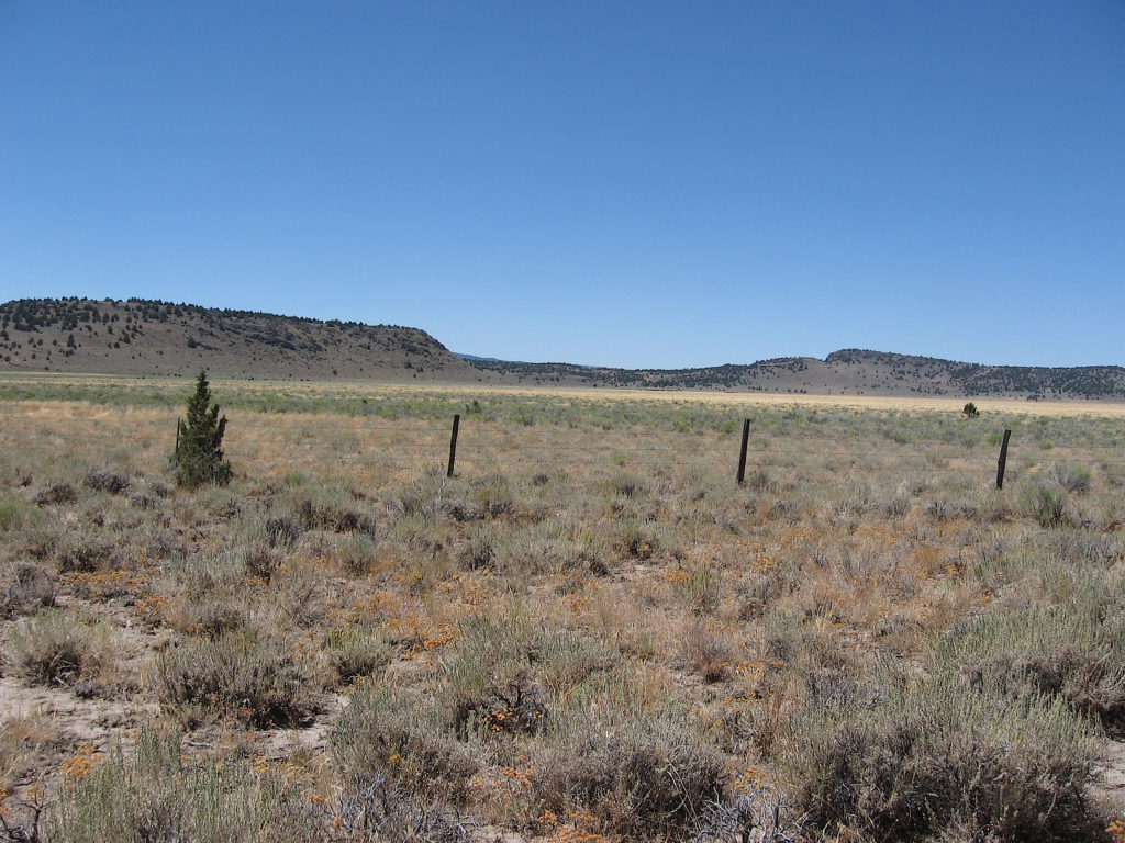 Dry Valley School site. August 4, 2016.