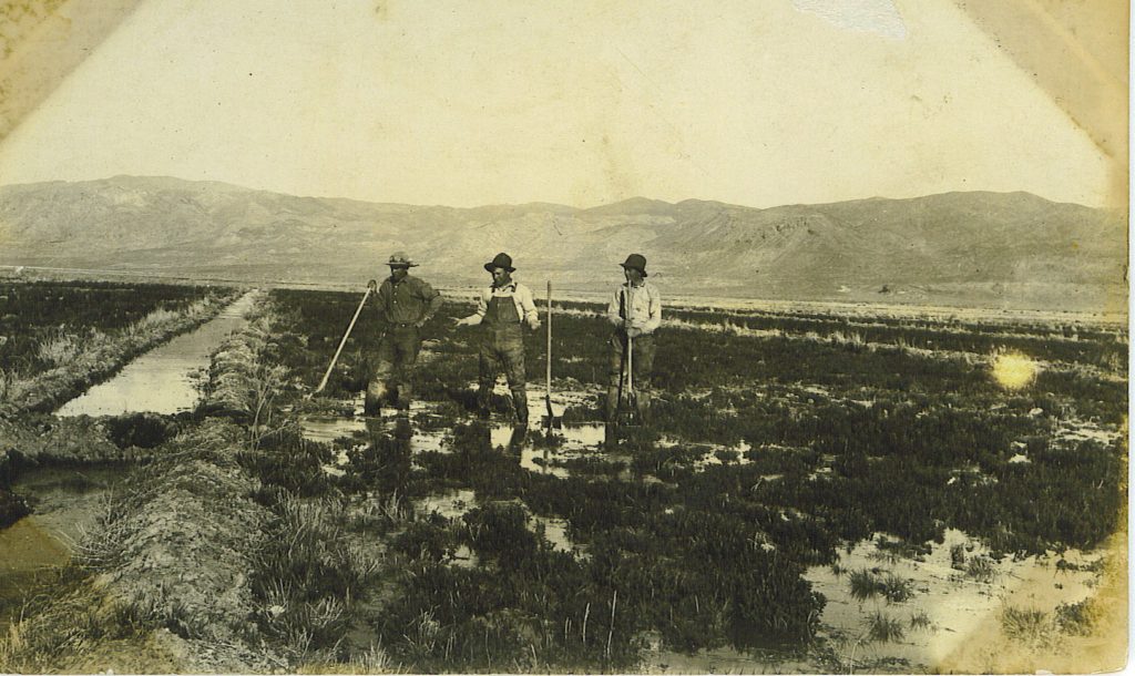 The Zarbock Brothers on their desert homestead near Stacy. Courtesy of Pam Zarbock Bell