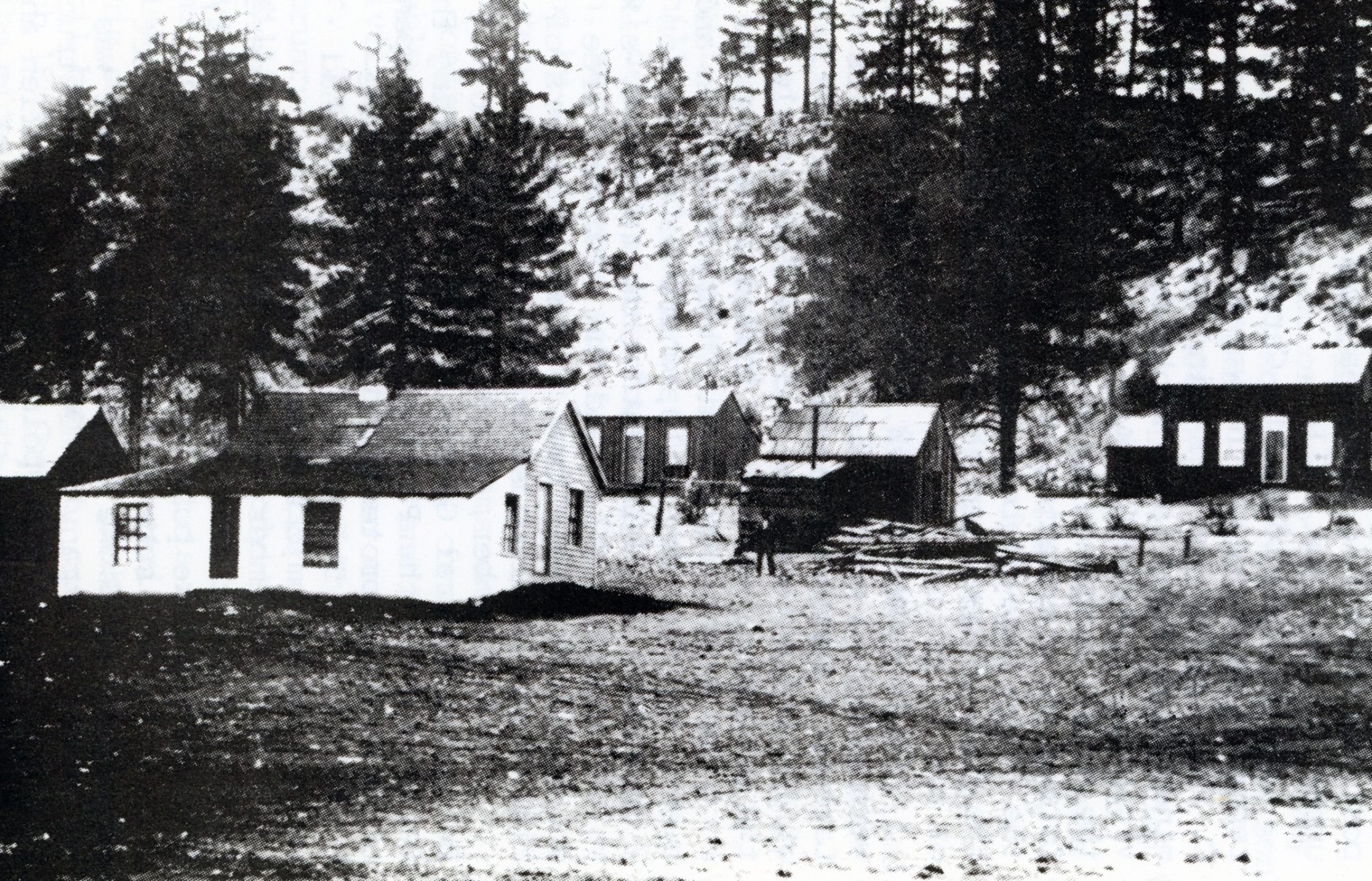 Tim S Blog Exploring Lassen County S Past Page 19   Svle 1860s635 2048x1315 